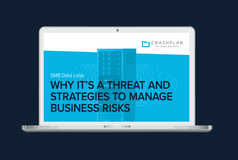 The Small Business Data Loss 2019 Whitepaper