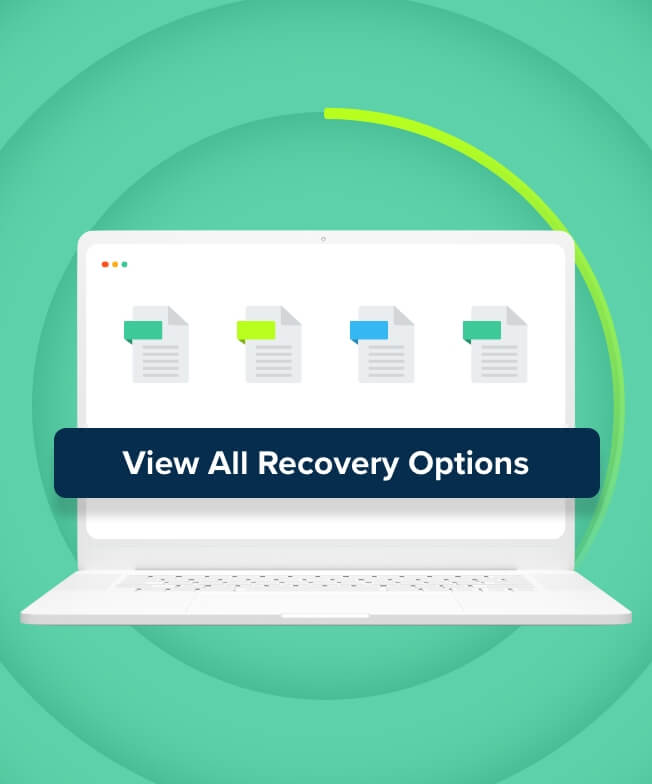 View All Recovery Options menu