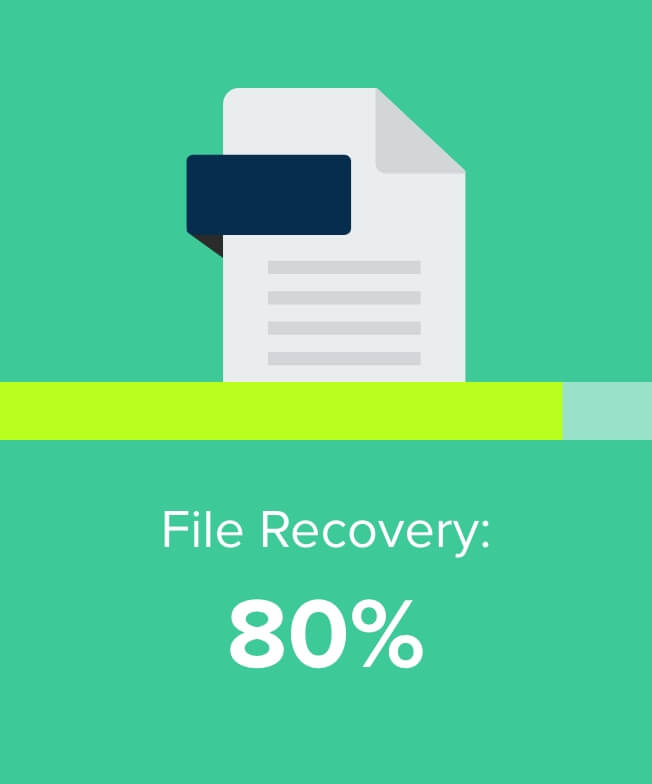 File Recovery: 80%